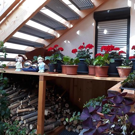 Chalet Sisi Saalfelden Extérieur photo