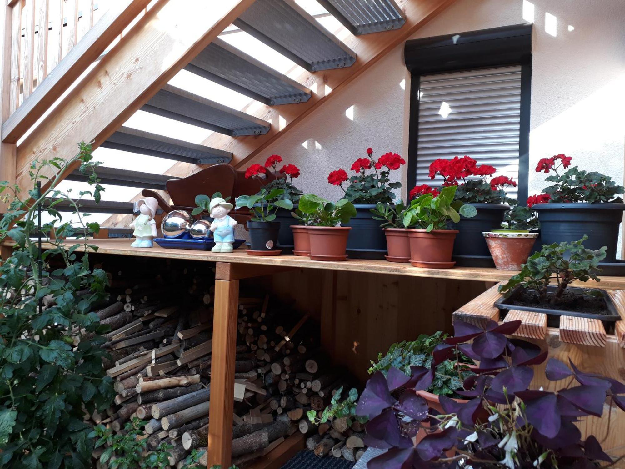 Chalet Sisi Saalfelden Extérieur photo
